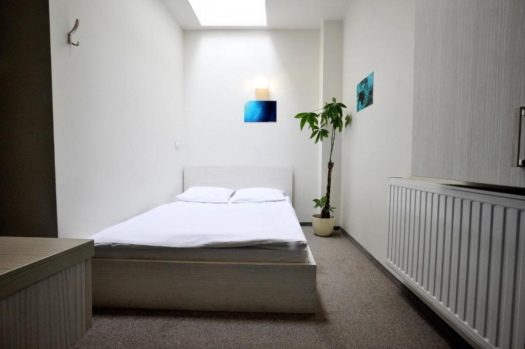 Hostel Promenada Rzeszów Rom bilde